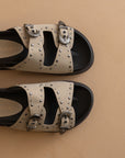 The Effie | Taupe Double Western Buckle Slides